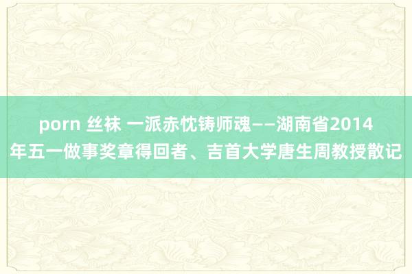 porn 丝袜 一派赤忱铸师魂——湖南省2014年五一做事奖章得回者、吉首大学唐生周教授散记