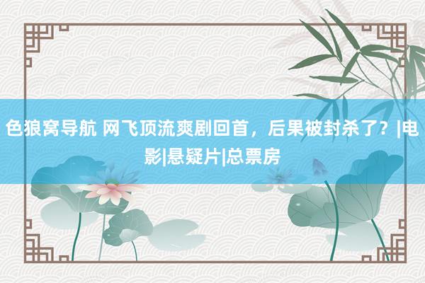 色狼窝导航 网飞顶流爽剧回首，后果被封杀了？|电影|悬疑片|总票房