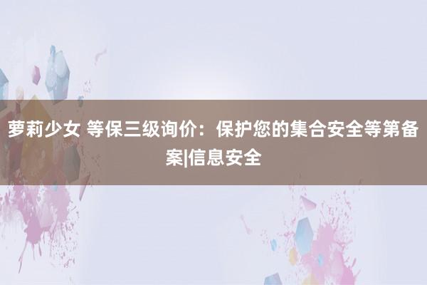 萝莉少女 等保三级询价：保护您的集合安全等第备案|信息安全