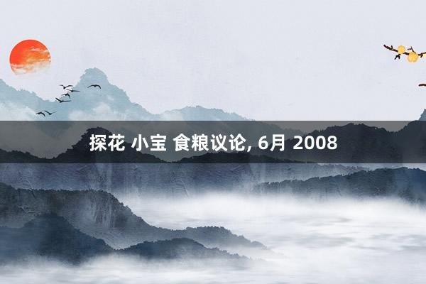 探花 小宝 食粮议论， 6月 2008