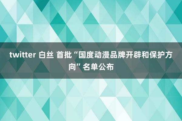 twitter 白丝 首批“国度动漫品牌开辟和保护方向”名单公布