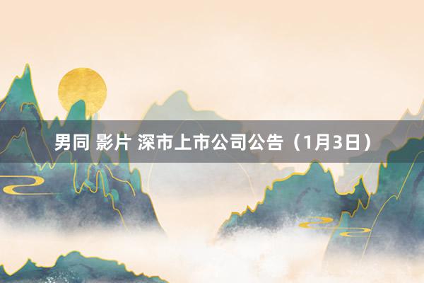 男同 影片 深市上市公司公告（1月3日）