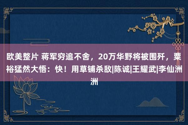 欧美整片 蒋军穷追不舍，20万华野将被围歼，粟裕猛然大悟：快！用草铺杀敌|陈诚|王耀武|李仙洲