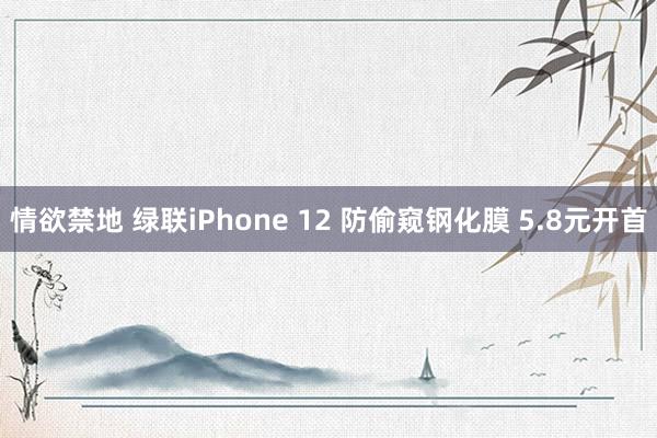 情欲禁地 绿联iPhone 12 防偷窥钢化膜 5.8元开首