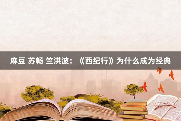 麻豆 苏畅 竺洪波：《西纪行》为什么成为经典