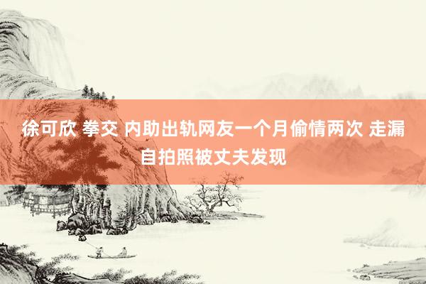 徐可欣 拳交 内助出轨网友一个月偷情两次 走漏自拍照被丈夫发现