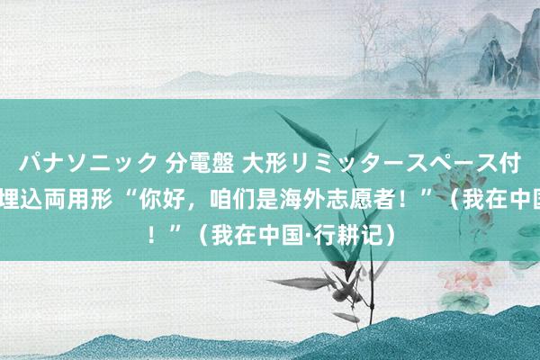 パナソニック 分電盤 大形リミッタースペース付 露出・半埋込両用形 “你好，咱们是海外志愿者！”（我在中国·行耕记）
