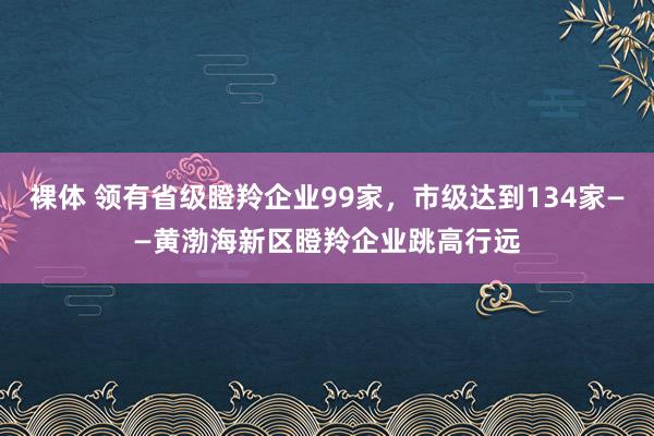 裸体 领有省级瞪羚企业99家，市级达到134家——黄渤海新区瞪羚企业跳高行远