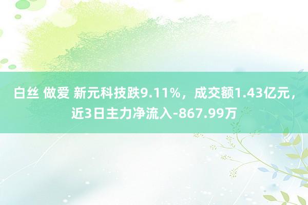 白丝 做爱 新元科技跌9.11%，成交额1.43亿元，近3日主力净流入-867.99万