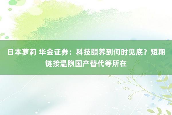 日本萝莉 华金证券：科技颐养到何时见底？短期链接温煦国产替代等所在