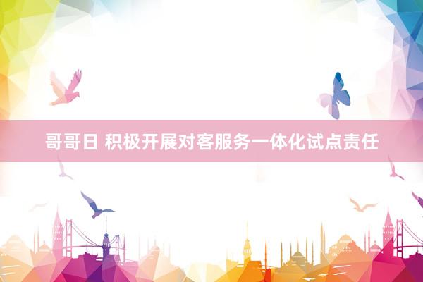 哥哥日 积极开展对客服务一体化试点责任