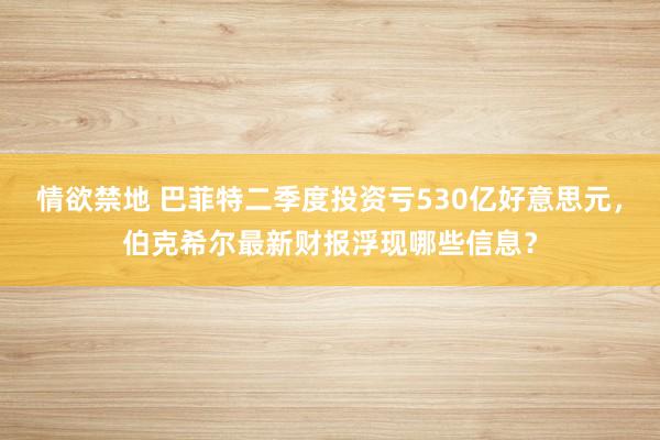 情欲禁地 巴菲特二季度投资亏530亿好意思元，伯克希尔最新财报浮现哪些信息？