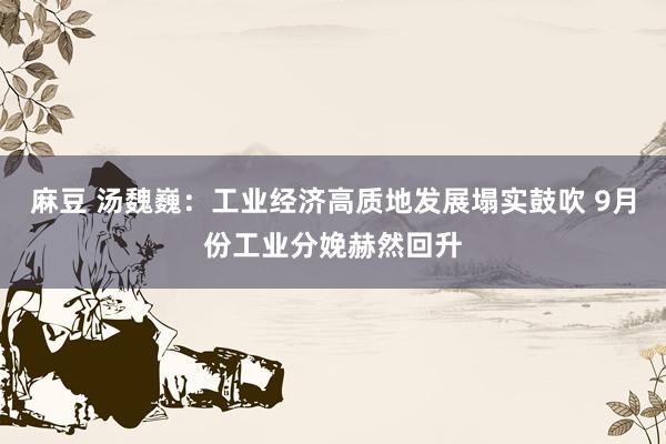 麻豆 汤魏巍：工业经济高质地发展塌实鼓吹 9月份工业分娩赫然回升