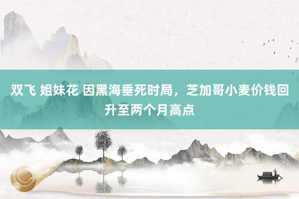 双飞 姐妹花 因黑海垂死时局，芝加哥小麦价钱回升至两个月高点